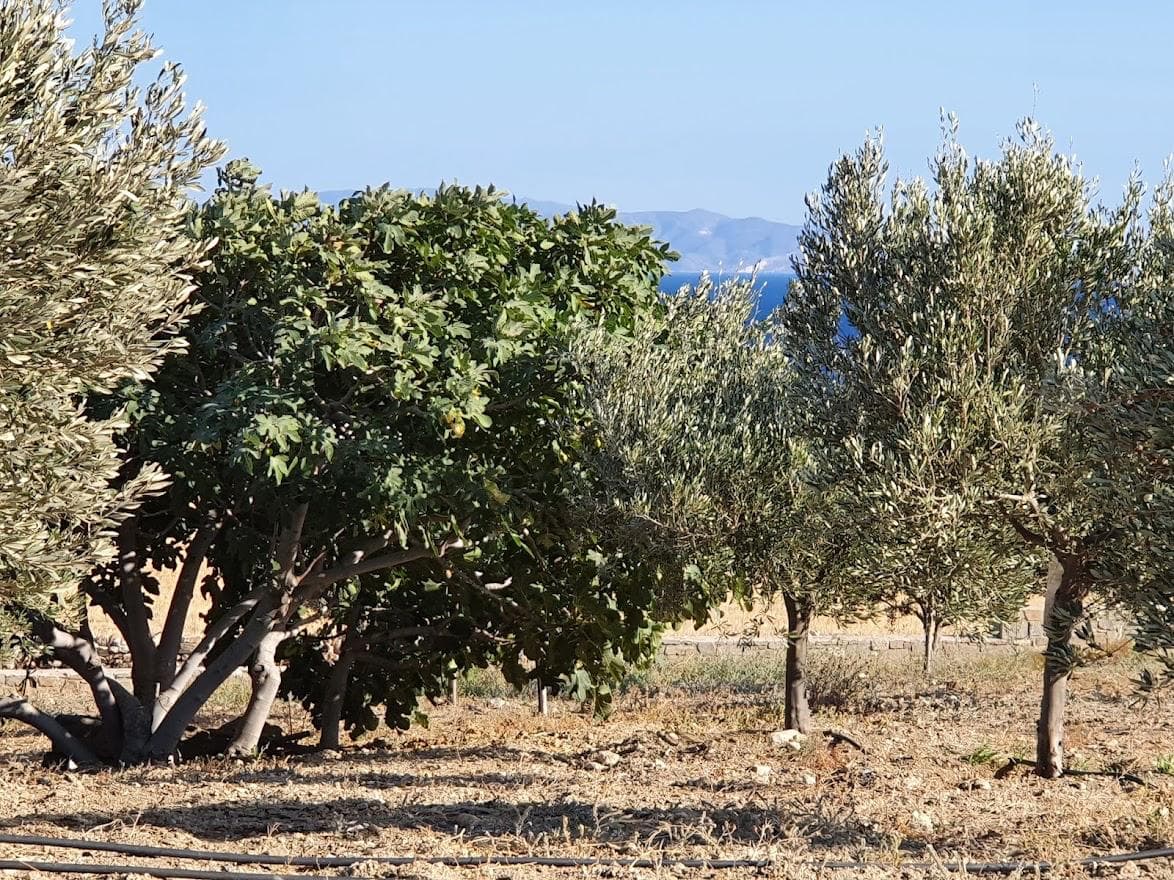 Κήπος, Θέα & Περιβάλλον