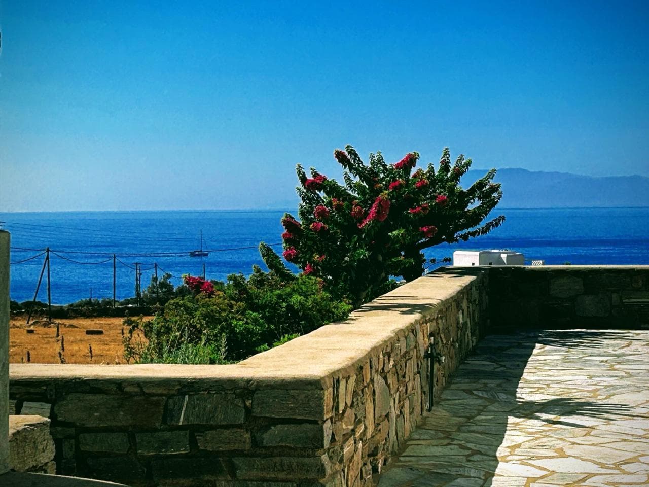 Κήπος, Θέα & Περιβάλλον